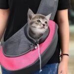 Mochila Bolsa Canguru Transversal Para Transporte PET - Imagem 5