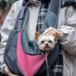 Mochila Bolsa Canguru Transversal Para Transporte PET - Imagem 7