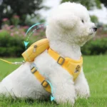 Peitoral Coleira Com Guia e Bolsa Removível Para Cachorro Pet Cães Pequenos E Médios