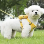 Peitoral Coleira Com Guia e Bolsa Removível Para Cachorro Pet Cães Pequenos E Médios - Imagem 6