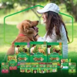 Alimento Cão Dog Chow 100g Sachê Ao Molho Carne - Imagem 2