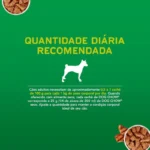 Alimento Cão Dog Chow 100g Sachê Ao Molho Carne - Imagem 4