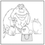 Pet