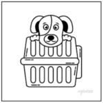 Transporte Pet
