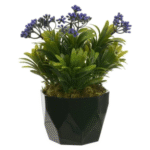 Arranjo Podocarpos Sementes Florarte 24Cm - Sortido