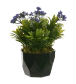 Arranjo Podocarpos Sementes Florarte 24Cm - Sortido