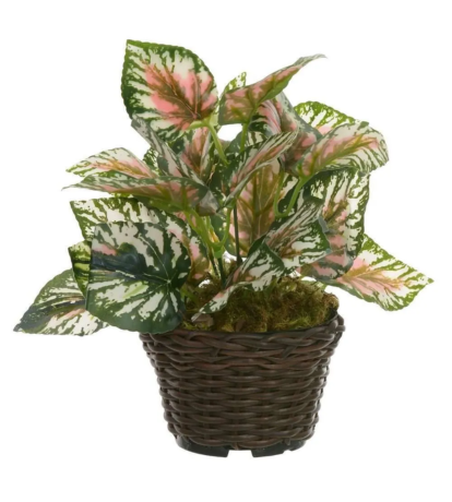 Arranjo Folhagens Florarte 22Cm - Sortido